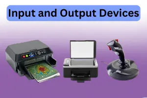 How Input and Output Devices Help You Every Day