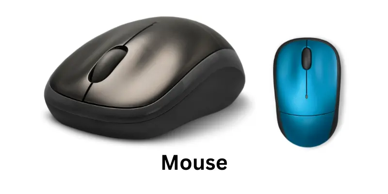Mouse