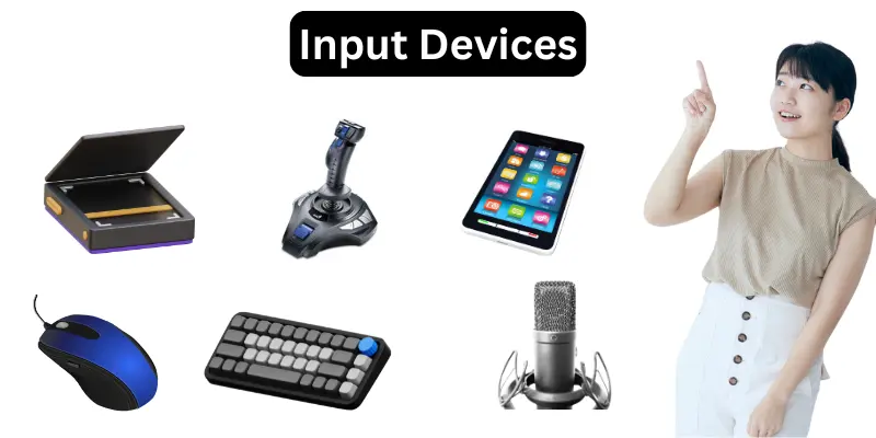 Input Devices
