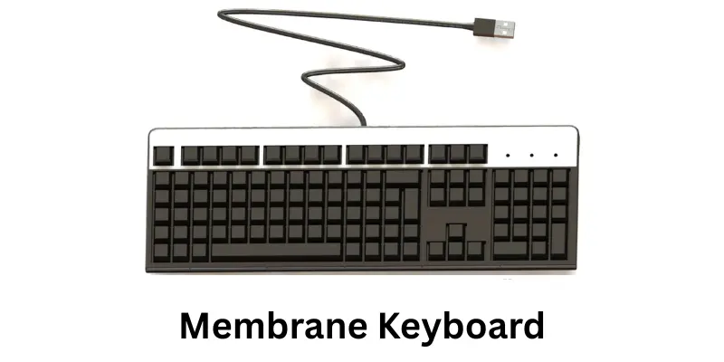 Membrane Keyboard