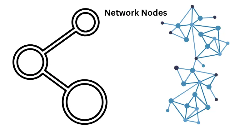 Network Nodes