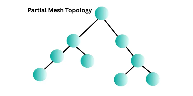 Partial Mesh Topology