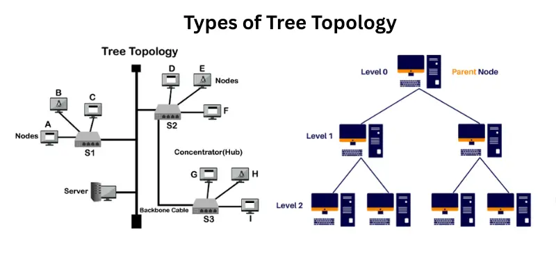 Types of Tree Topology