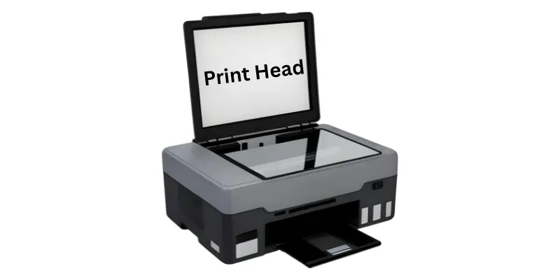 Print Head