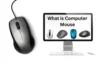 What is Computer Mouse - Post Thumbnail