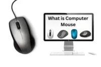 What is Computer Mouse