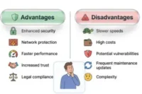 Advantages and disadvantages of Software Security