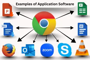 Examples of Application Software and Their Uses