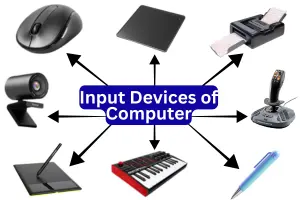 Input Devices of Computer – Importance and Examples