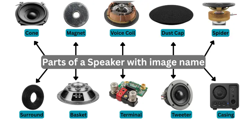Parts of a Speaker