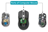 Parts of Computer Mouse