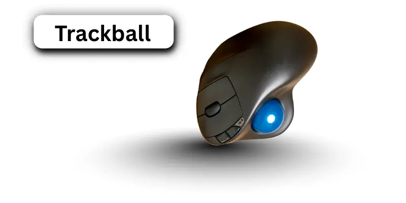 Trackball mouse
